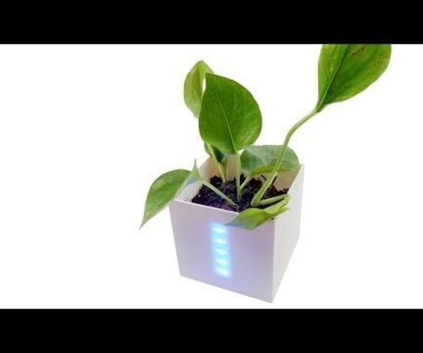How to Make Smart Flower Pot