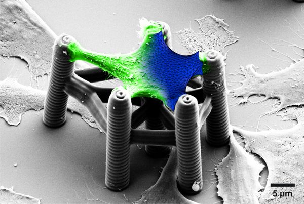 Materials Design in 3D: from the Molecule to the Macrostructure