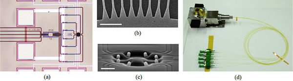 Unlocking the untapped potential of light in optical communications