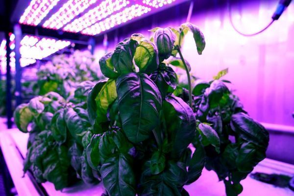 The future of agriculture is computerized