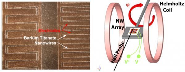 Tiny Sensors, Big Potential
