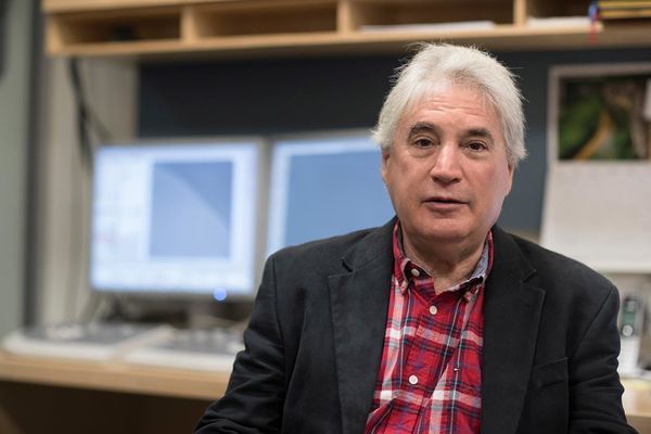 Electricity-conducting Bacteria Yield Secret To Tiny Batteries, Big Medical Advances