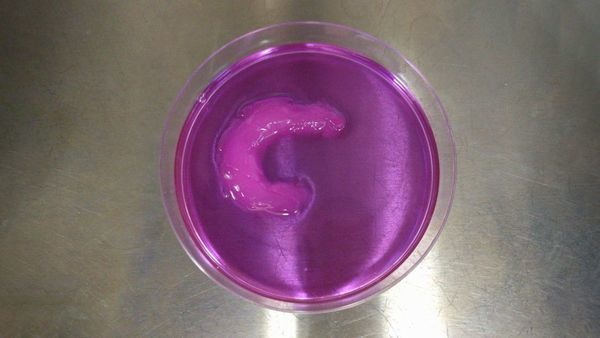 Ultrasound Aligns Living Cells in Bioprinted Tissues