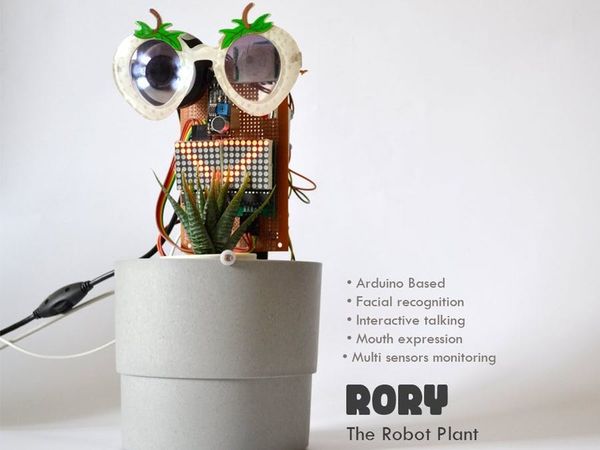 Rory the Robot Plant