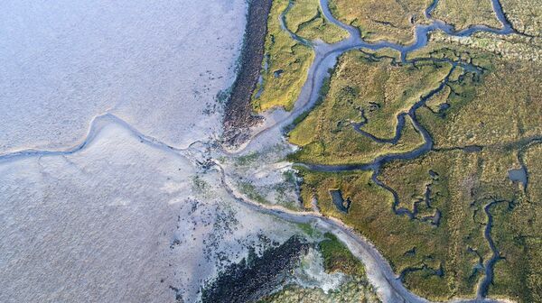 Producing electricity at estuaries using light and osmosis