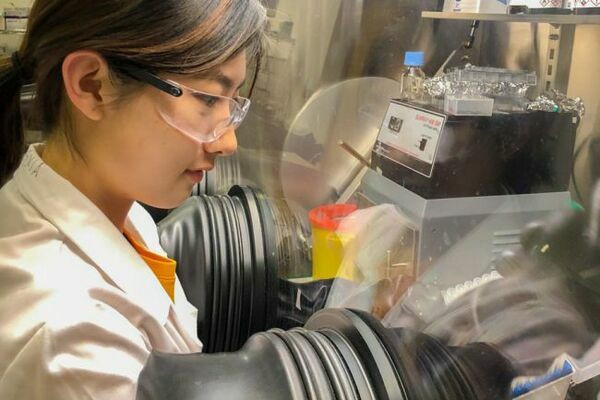 Quantum rebar: Quantum dots enhance stability of solar-harvesting perovskite crystals