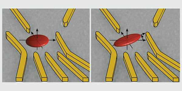 The geometry of an electron determined for the first time