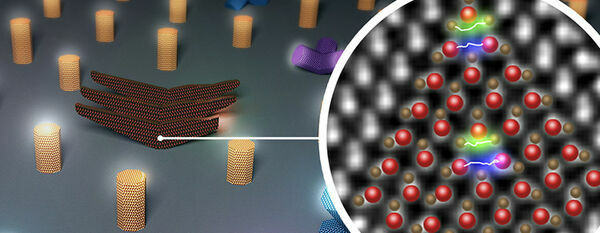 Tune in to future polarity quantum devices