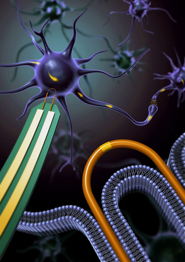 Combing nanowires