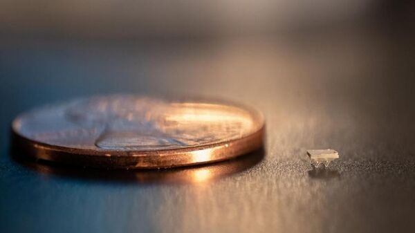 Tiny Vibration-Powered Robots Are the Size of the World’s Smallest Ant
