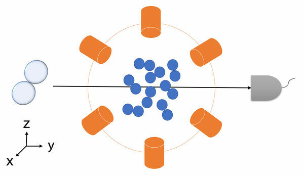 Quantum entanglement in chemical reactions? Now there’s a way to find out