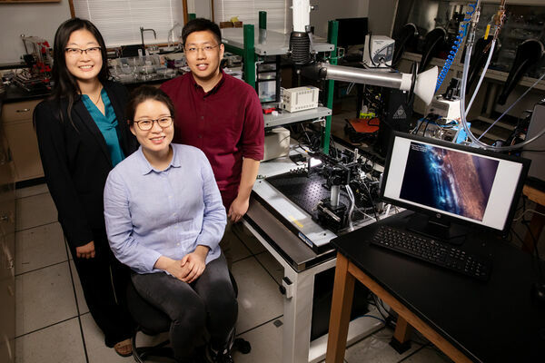 Printing flattens polymers, improving electrical and optical properties