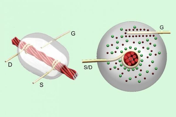 Engineers make transistors and electronic devices entirely from thread