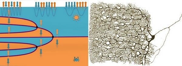 At the edge of chaos, powerful new electronics could be created