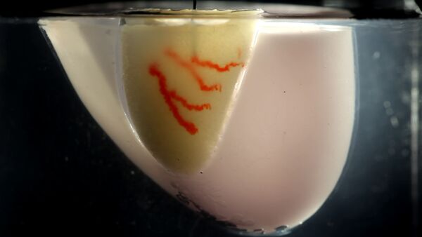 A swifter way towards 3D-printed organs