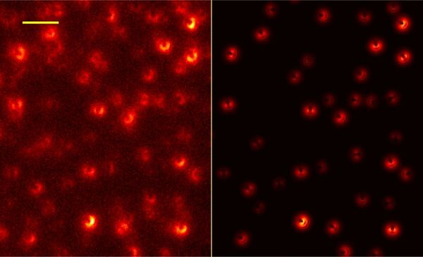 Graphene layer enables advance in super-resolution microscopy