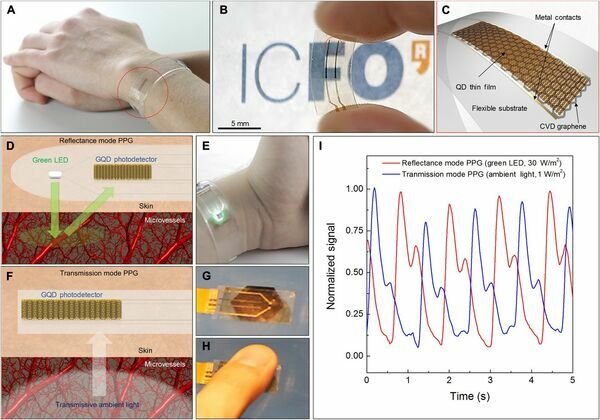 New health monitors are flexible, transparent and graphene enabled