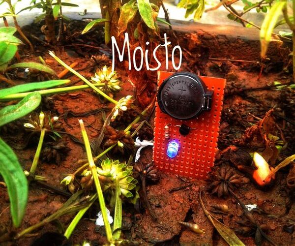Moisto : Soil Moisture Sensor