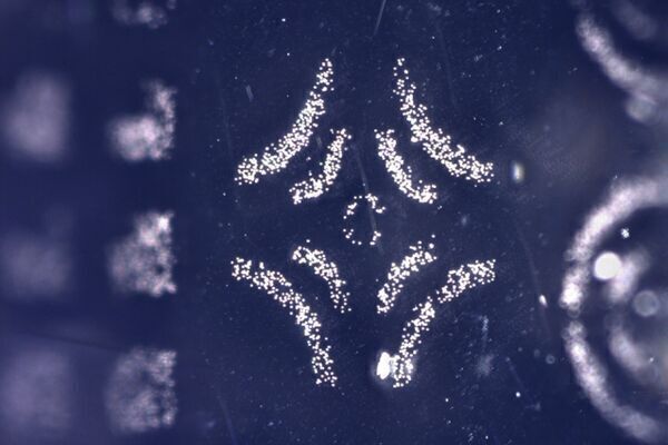 “Electroadhesive” stamp picks up and puts down microscopic structures