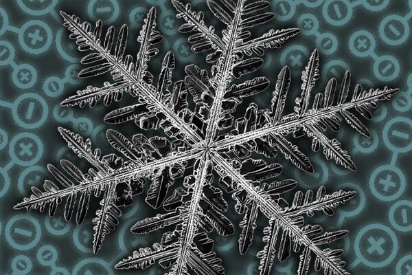 Scientists discover fractal patterns in a quantum material