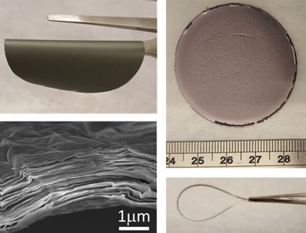 Taking 2D materials to the MAX