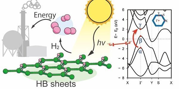 Hydrogen boride nanosheets: A promising material for hydrogen carrier