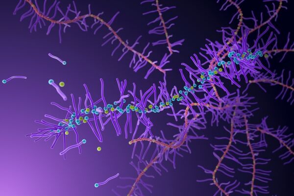 New synthesis method yields degradable polymers