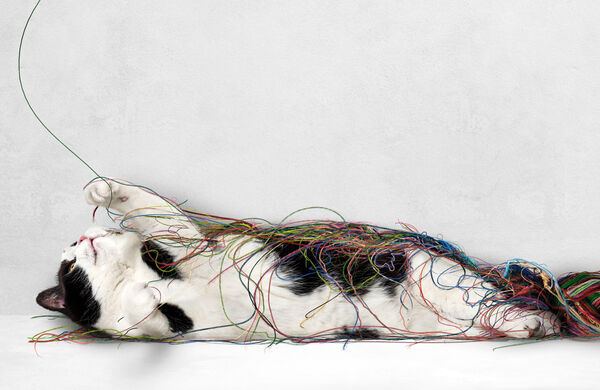 Untangling Quantum Entanglement