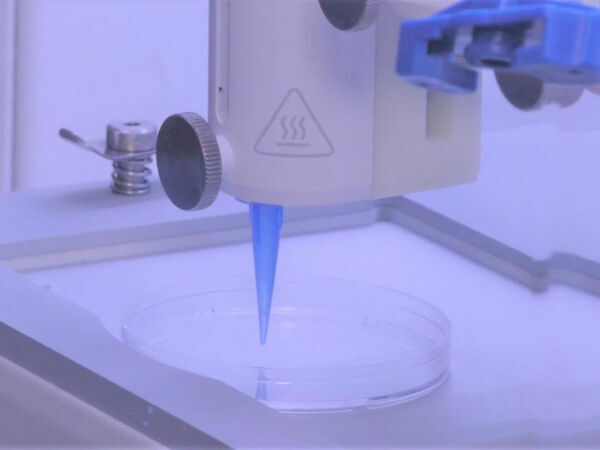 Living Skin Can Now be 3D-Printed With Blood Vessels Included