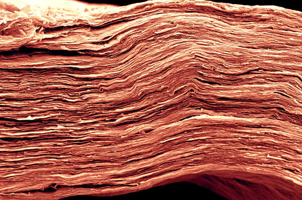 Big Plans to Save the Planet Depend on Nanoscopic Materials Improving Energy Storage