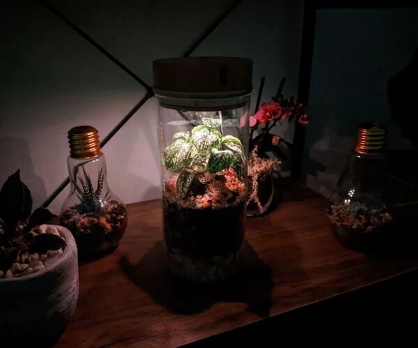 IoT-Terrarium