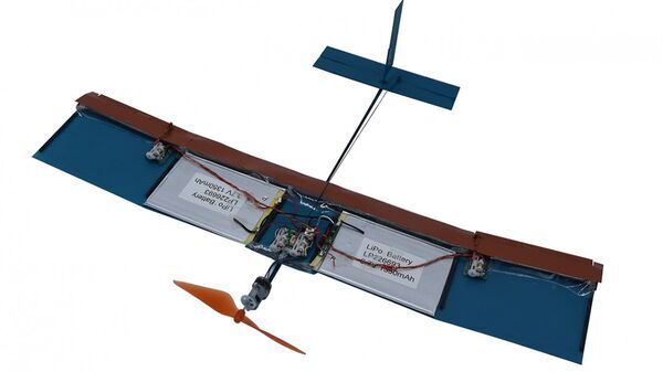 Researchers develop new bio-inspired wing design for small drones