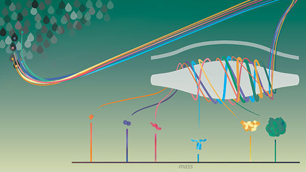 Technology provides a new way to probe single molecules
