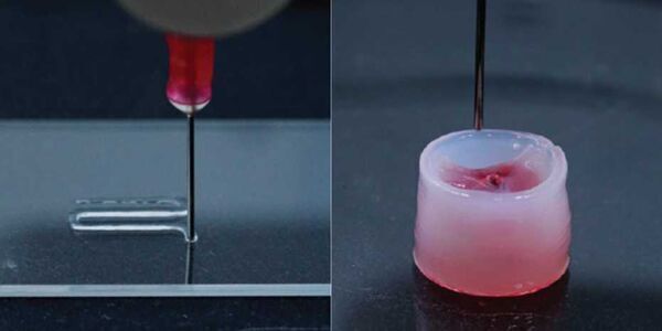 New universal carrier ink for 3D printing