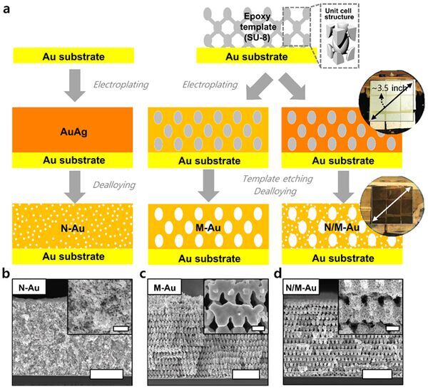 3D Hierarchically Porous Nanostructured Catalyst Helps Efficiently Reduce CO2