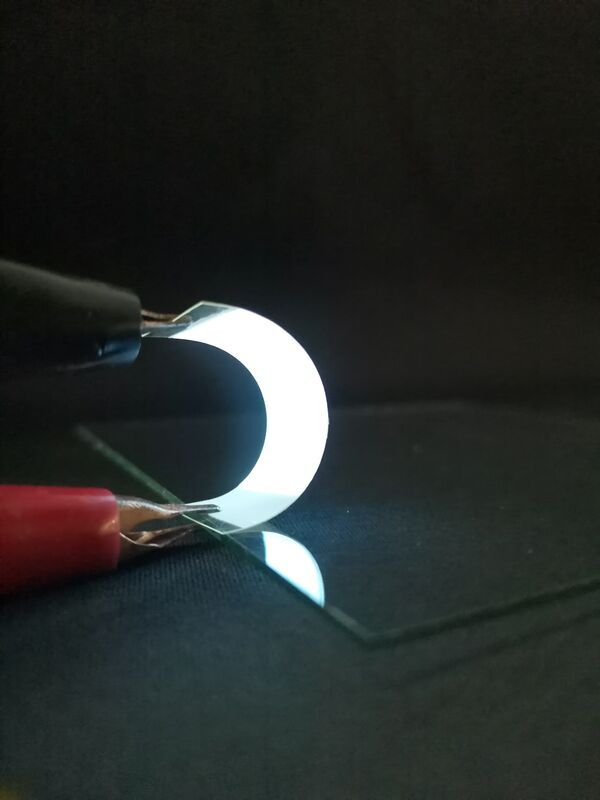 Fish scales could make wearable electronics more sustainable