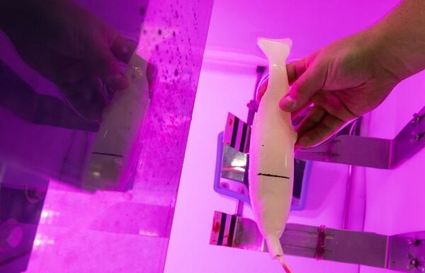 Researchers use 3D printing, sensors to create models for hydropower testing