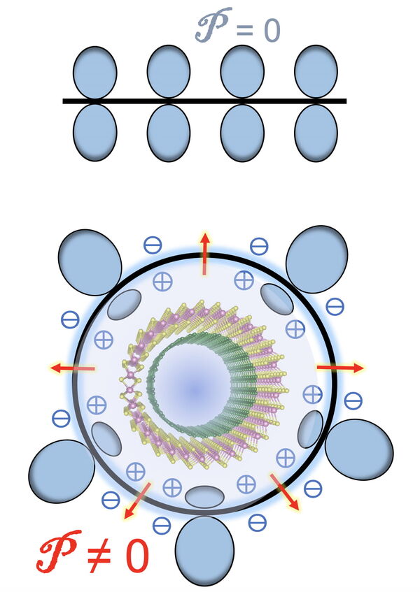 Double-walled nanotubes have electro-optical advantages