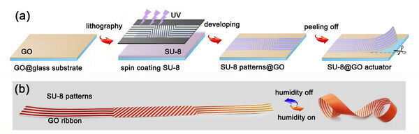 Graphene-based actuator swarm enables programmable deformation