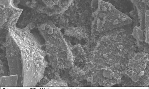 New hybrid material improves the performance of silicon in Li-ion batteries