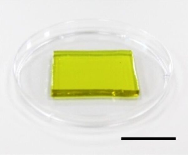 A new way to cool down electronic devices, recover waste heat