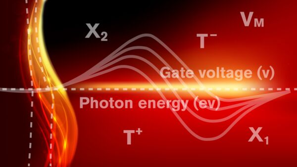 Researchers shed new light on creating nanolasers using 2D materials