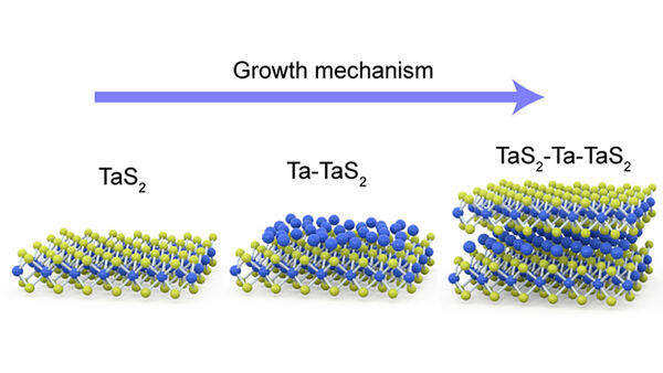 A new library of atomically thin 2D materials