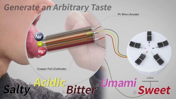 Developing a technology that can share tastes without the risk of infection: Prof. Homei Miyashita has developed a taste display that expresses an arbitrary taste