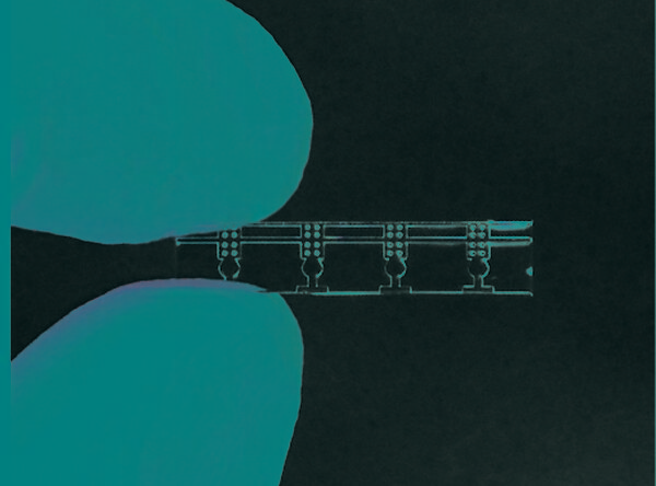 Small see-through container improves plant micrografting