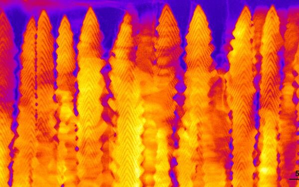 Crystalline ‘nanobrush’ clears way to advanced energy and information tech