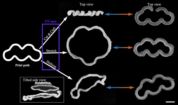 Lab makes 4D printing more practical