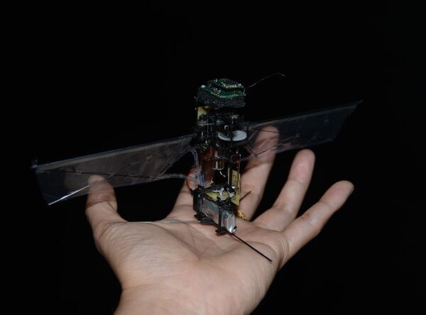 KUBeetle-S: An insect-inspired robot that can fly for up to 9 minutes