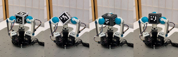 Roller Grasper V2