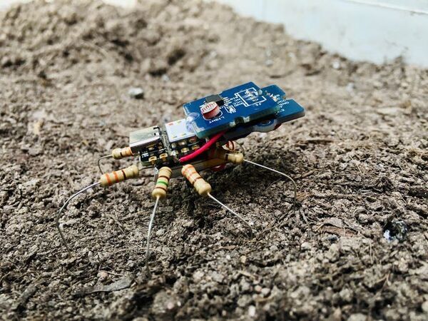 Runaway Spider